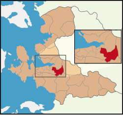 Buca Vinç Kiralama